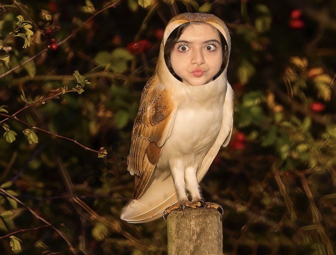 Image of Baran O