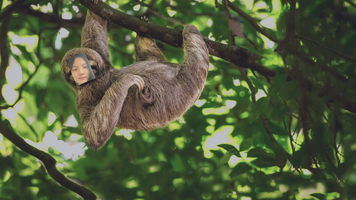 Image of Sophia K